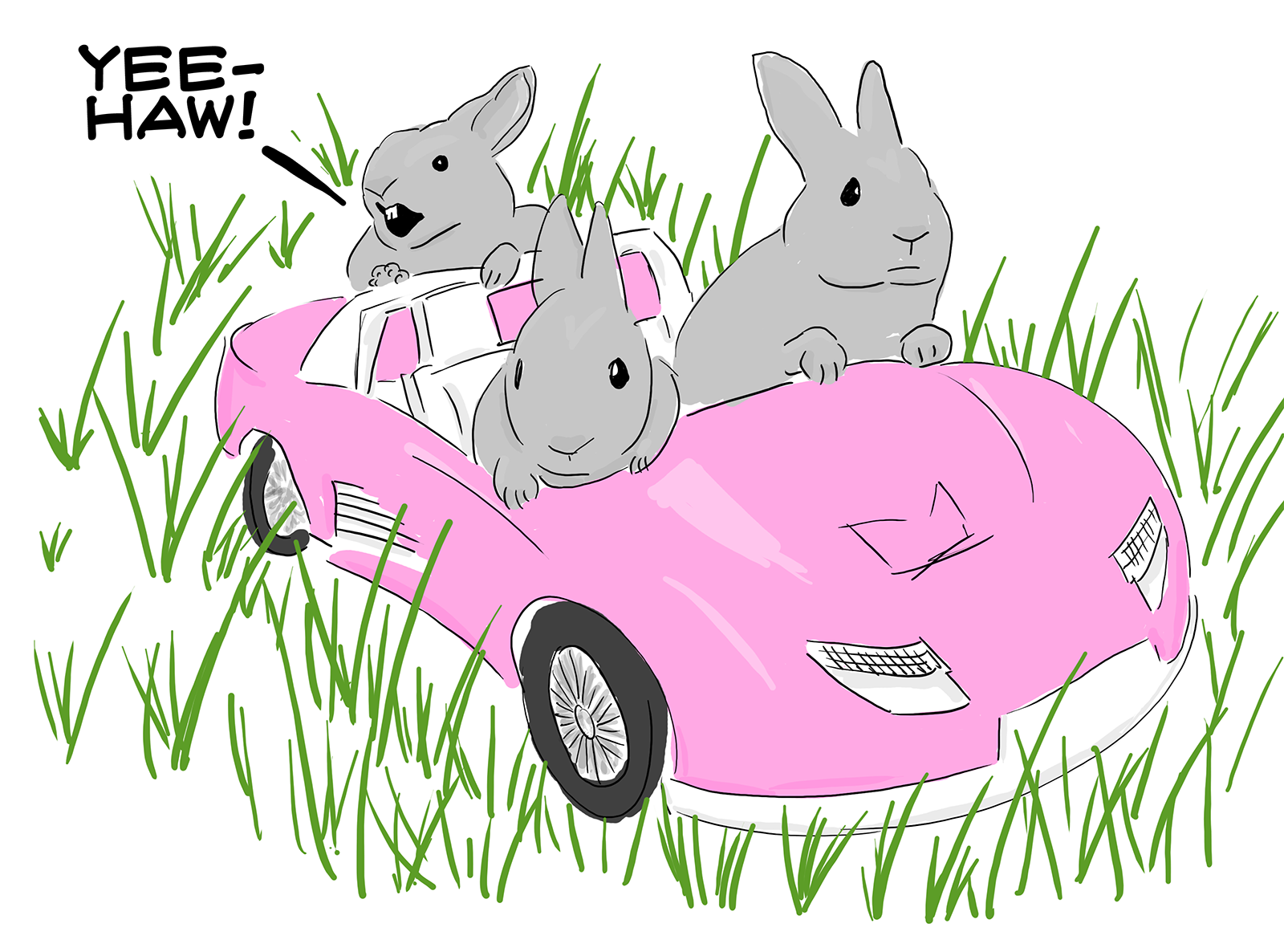 Bunnies in a Barbie Car